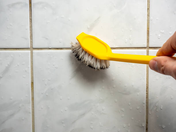 Best Professional Mold Removal  in Sunset, FL