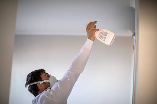Attic Mold Removal in Sunset, FL
