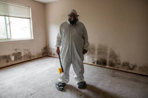 Best Crawl Space Mold Removal  in Sunset, FL